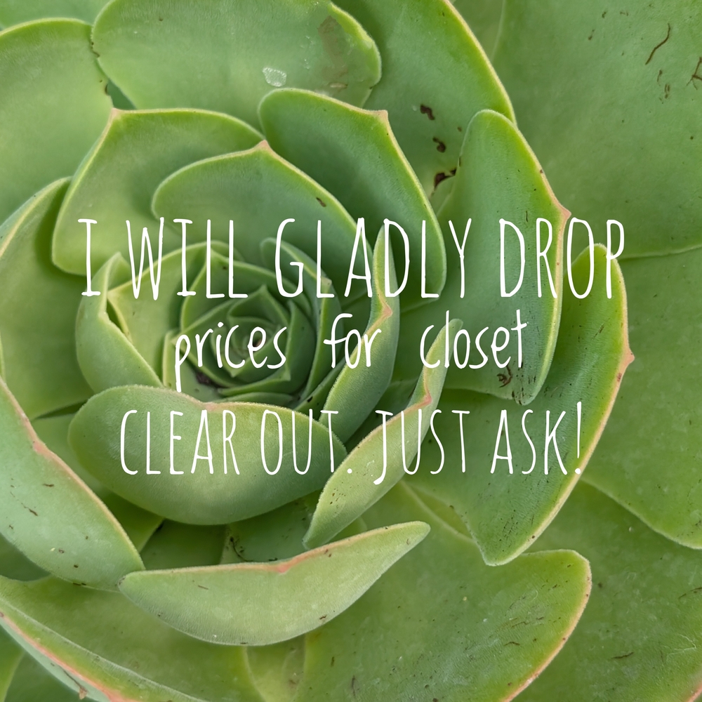 I Will Drop Prices For Closet Clear Out